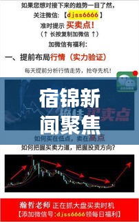 宿錦新聞聚焦時事熱點，解讀地方發(fā)展新動態(tài)