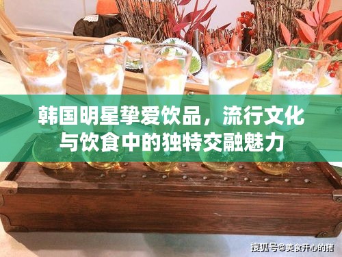 韓國明星摯愛飲品，流行文化與飲食中的獨(dú)特交融魅力