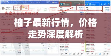柚子最新行情，價格走勢深度解析