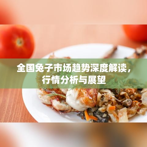 全國兔子市場趨勢深度解讀，行情分析與展望