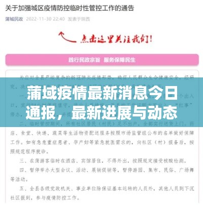 蒲域疫情最新消息今日通報(bào)，最新進(jìn)展與動(dòng)態(tài)關(guān)注