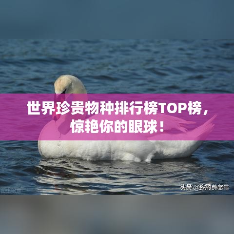 世界珍貴物種排行榜TOP榜，驚艷你的眼球！