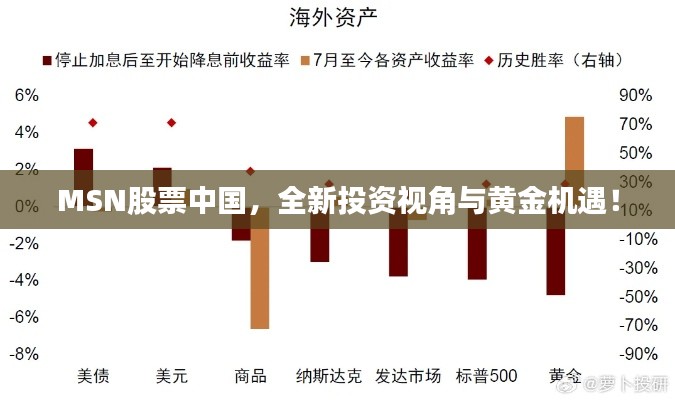 MSN股票中國(guó)，全新投資視角與黃金機(jī)遇！