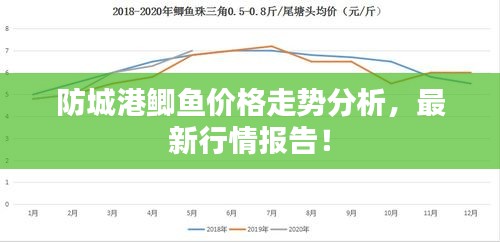 防城港鯽魚價格走勢分析，最新行情報告！