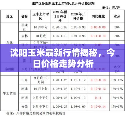 沈陽玉米最新行情揭秘，今日價格走勢分析