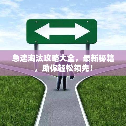 急速淘汰攻略大全，最新秘籍，助你輕松領(lǐng)先！