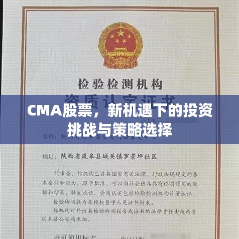 CMA股票，新機(jī)遇下的投資挑戰(zhàn)與策略選擇