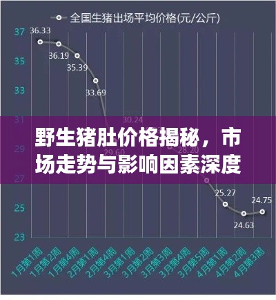 野生豬肚價格揭秘，市場走勢與影響因素深度解析