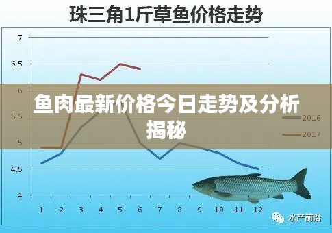 魚肉最新價(jià)格今日走勢及分析揭秘