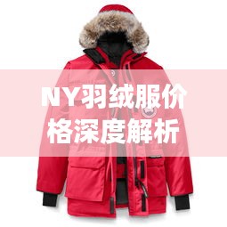 NY羽絨服價格深度解析，了解真實價格，選購更明智！