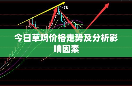 今日草雞價(jià)格走勢(shì)及分析影響因素