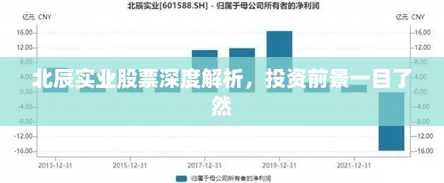 北辰實業(yè)股票深度解析，投資前景一目了然