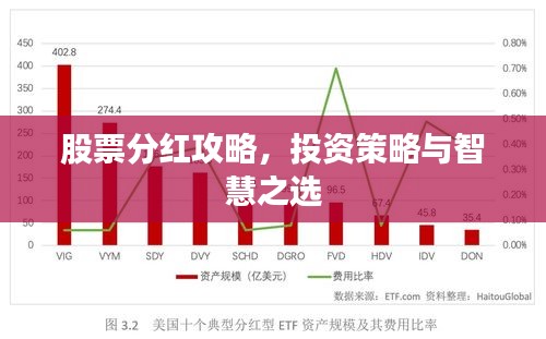 股票分紅攻略，投資策略與智慧之選