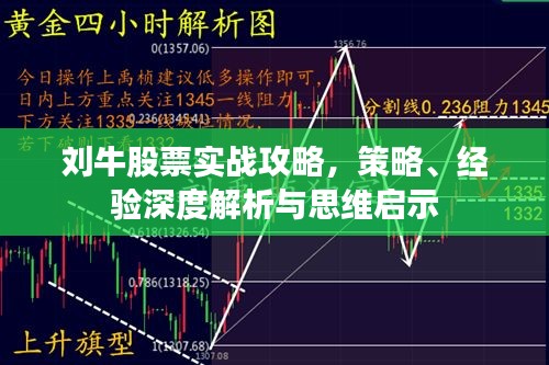 劉牛股票實戰(zhàn)攻略，策略、經(jīng)驗深度解析與思維啟示