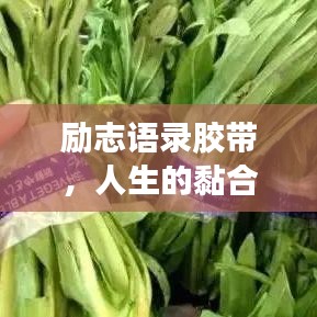 勵志語錄膠帶，人生的黏合劑，引領(lǐng)你走向成功之路