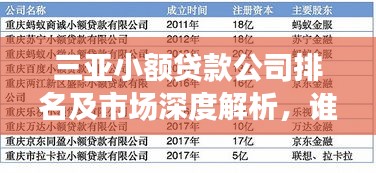 三亞小額貸款公司排名及市場深度解析，誰是行業(yè)佼佼者？