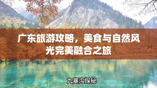 廣東旅游攻略，美食與自然風(fēng)光完美融合之旅