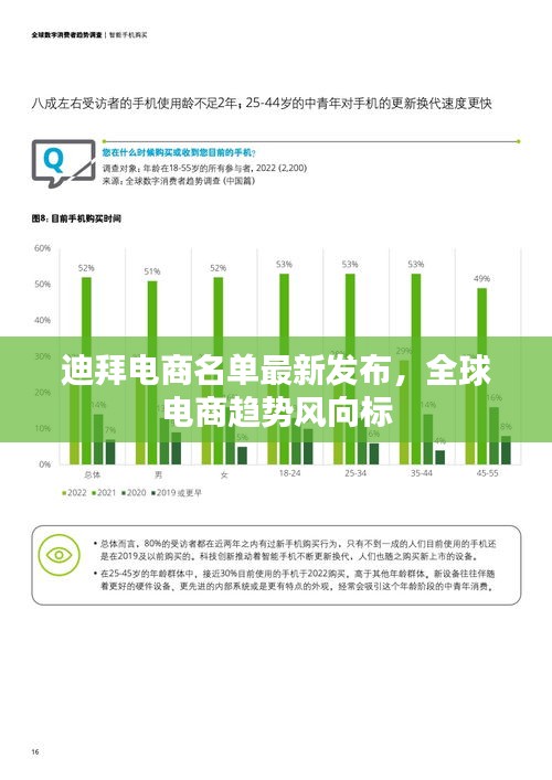 迪拜電商名單最新發(fā)布，全球電商趨勢風向標