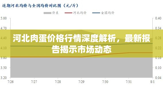 河北肉蛋價格行情深度解析，最新報告揭示市場動態(tài)