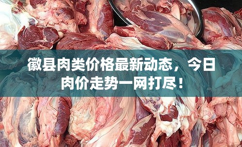 徽縣肉類價格最新動態(tài)，今日肉價走勢一網(wǎng)打盡！