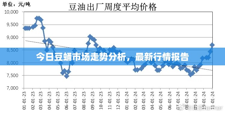 今日豆蛹市場(chǎng)走勢(shì)分析，最新行情報(bào)告