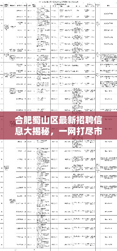 合肥蜀山區(qū)最新招聘信息大揭秘，一網(wǎng)打盡市區(qū)各大企業(yè)職位空缺