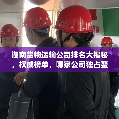 湖南貨物運輸公司排名大揭秘，權威榜單，哪家公司獨占鰲頭？