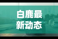 白鹿最新動態(tài)消息曝光，不容錯過！