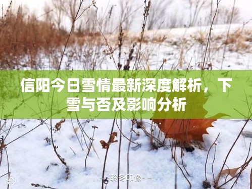 信陽(yáng)今日雪情最新深度解析，下雪與否及影響分析