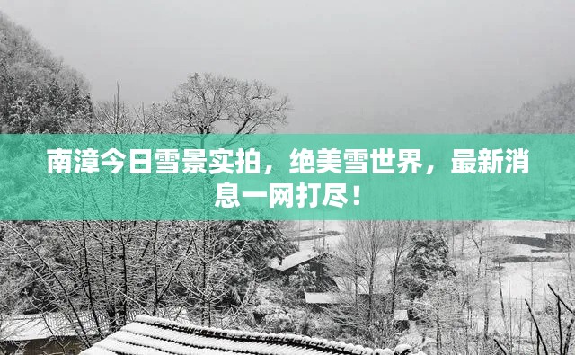 南漳今日雪景實拍，絕美雪世界，最新消息一網(wǎng)打盡！