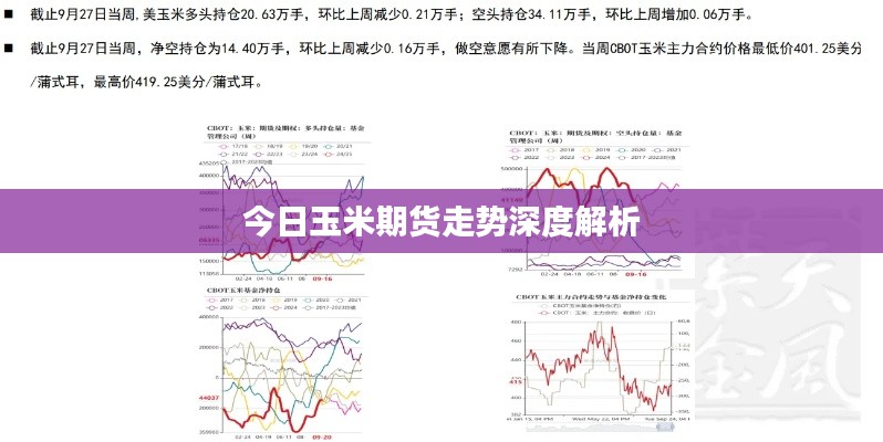 今日玉米期貨走勢(shì)深度解析