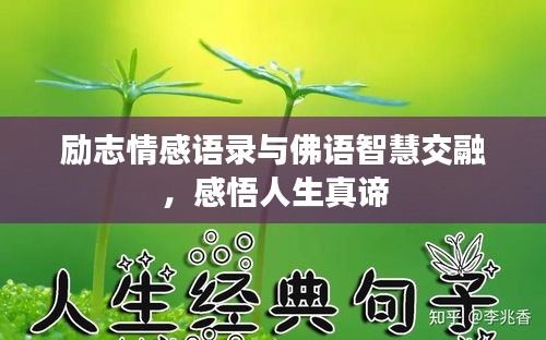 勵志情感語錄與佛語智慧交融，感悟人生真諦