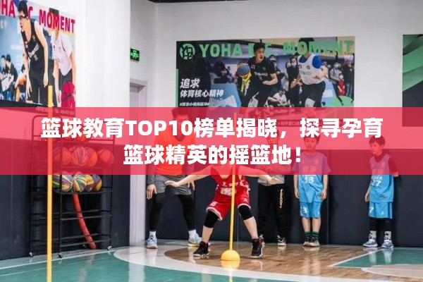 籃球教育TOP10榜單揭曉，探尋孕育籃球精英的搖籃地！