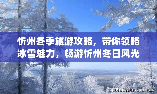 忻州冬季旅游攻略，帶你領(lǐng)略冰雪魅力，暢游忻州冬日風(fēng)光！