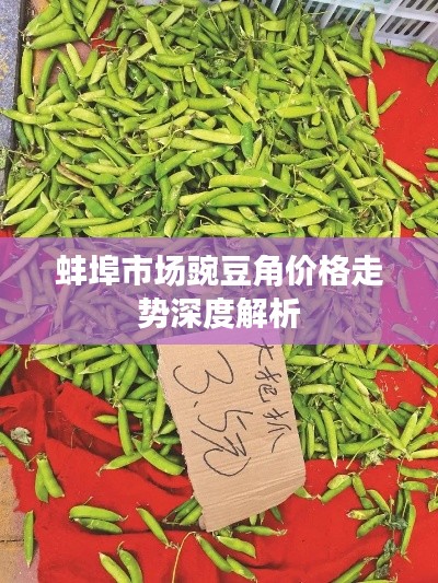 蚌埠市場豌豆角價(jià)格走勢深度解析