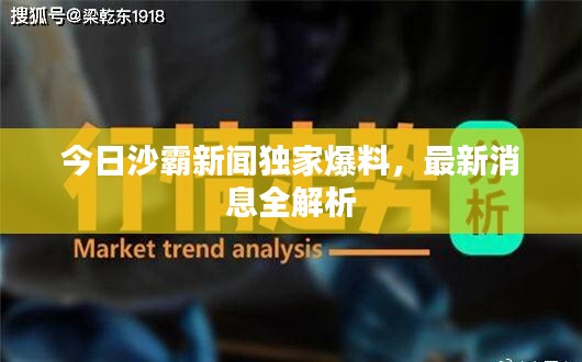 今日沙霸新聞獨(dú)家爆料，最新消息全解析