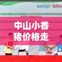 中山小香豬價格走勢大揭秘，最新行情分析！