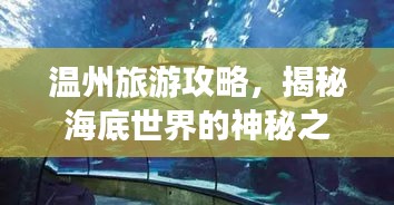 溫州旅游攻略，揭秘海底世界的神秘之旅