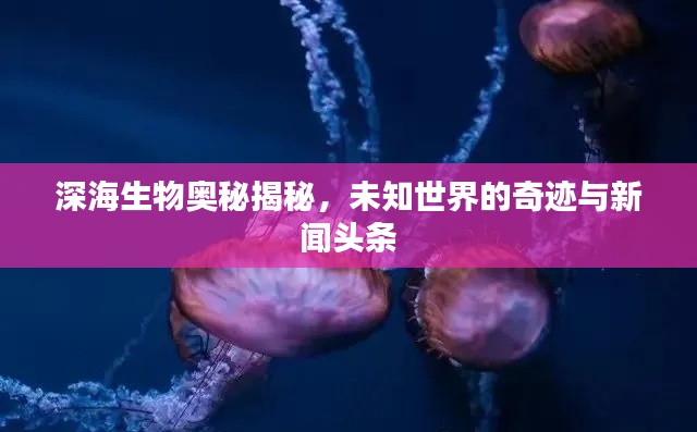 深海生物奧秘揭秘，未知世界的奇跡與新聞頭條