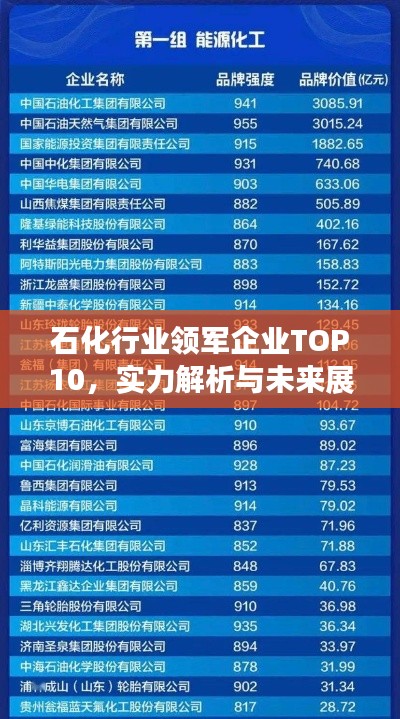 石化行業(yè)領(lǐng)軍企業(yè)TOP10，實(shí)力解析與未來展望