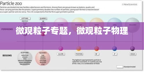 微觀粒子專題，微觀粒子物理 