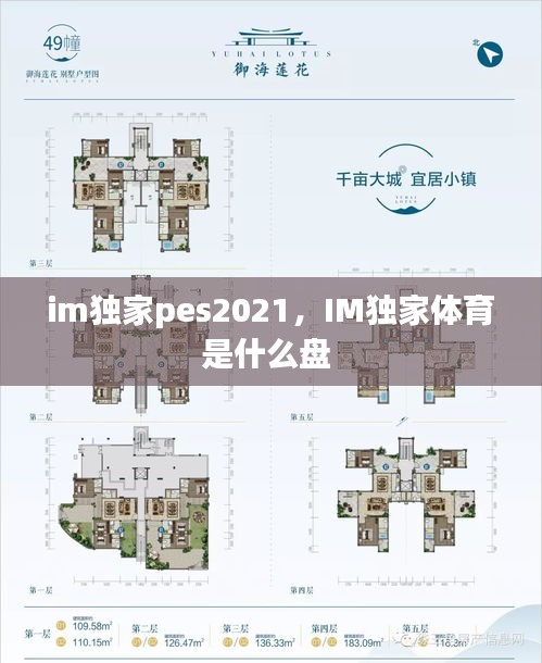 im獨(dú)家pes2021，IM獨(dú)家體育是什么盤 