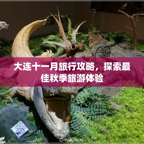 大連十一月旅行攻略，探索最佳秋季旅游體驗(yàn)