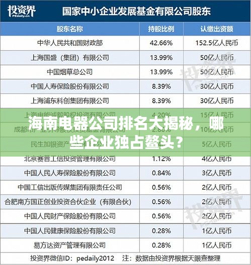 海南電器公司排名大揭秘，哪些企業(yè)獨(dú)占鰲頭？