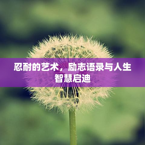 忍耐的藝術(shù)，勵(lì)志語錄與人生智慧啟迪