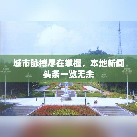 城市脈搏盡在掌握，本地新聞頭條一覽無余