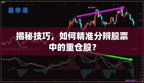 揭秘技巧，如何精準(zhǔn)分辨股票中的重倉股？