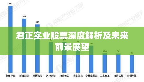 君正實(shí)業(yè)股票深度解析及未來(lái)前景展望