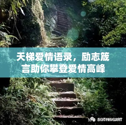 天梯愛(ài)情語(yǔ)錄，勵(lì)志箴言助你攀登愛(ài)情高峰