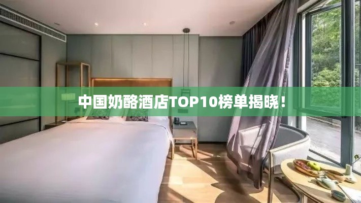 中國(guó)奶酪酒店TOP10榜單揭曉！